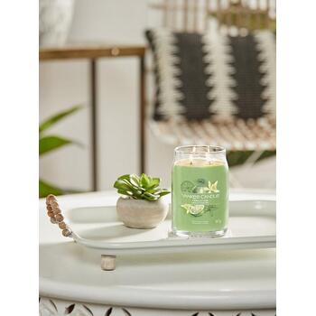 Vanilla Lime Signature Candle (vanilka s limetkou) - Vonná sviečka
